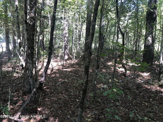 Listing photo 3 for The Glades Rd, Talladega AL 35160