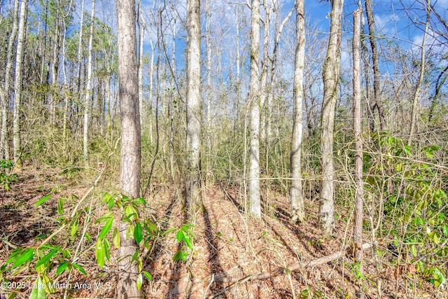 325 Cobb Rd, Tallassee AL, 36078 land for sale