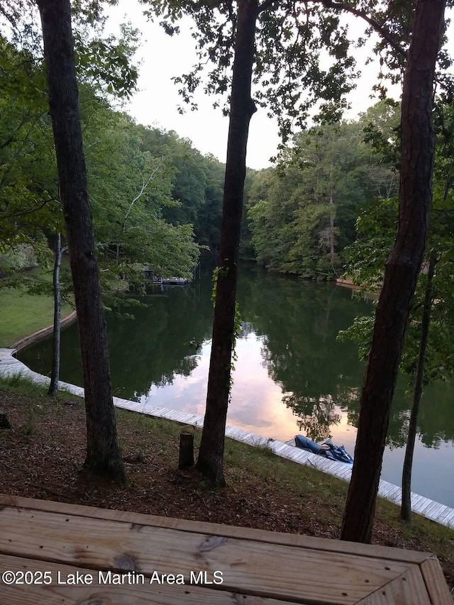 57 Lakeview Pt, Alexander City, AL 35010 - water view with a heavily wooded area