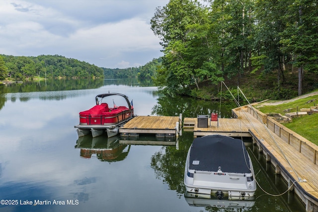 57 Lakeview Pt, Alexander City, AL 35010 - dock with a water view and a forest view