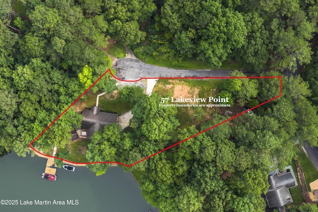 57 Lakeview Pt, Alexander City, AL 35010 - aerial view of property's location with property boundaries highlighted