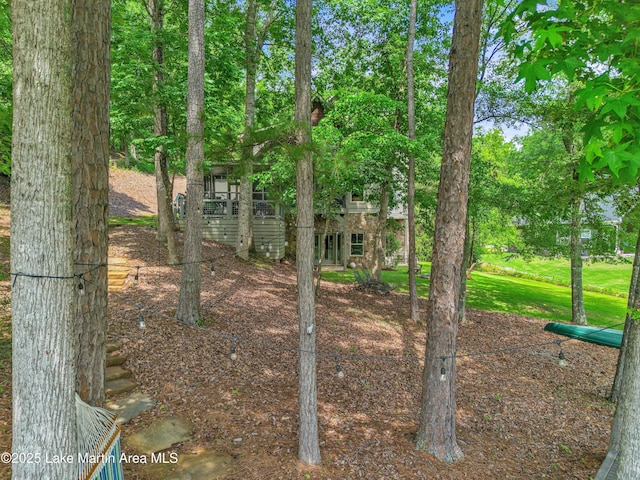254 Paces Way, Dadeville, AL 36853 - view of grassy yard