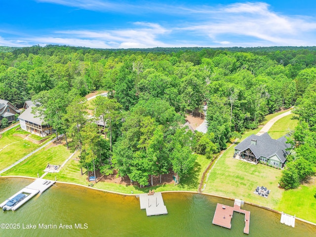 254 Paces Way, Dadeville, AL 36853 - drone / aerial view of a heavily wooded area and a nearby body of water