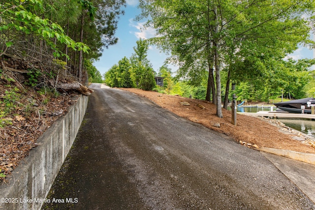 254 Paces Way, Dadeville, AL 36853 - view of street