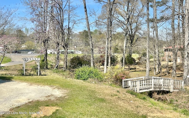 view of yard with dirt driveway