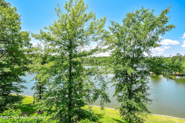 127 Ridge Crest Dr, Jacksons Gap, AL 36861