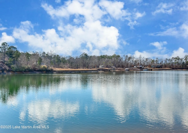127 Ridge Crest Dr, Jacksons Gap, AL 36861 - water view