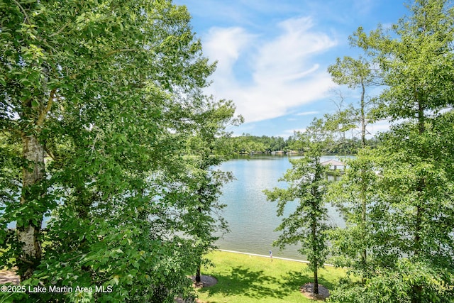 127 Ridge Crest Dr, Jacksons Gap, AL 36861 - water view