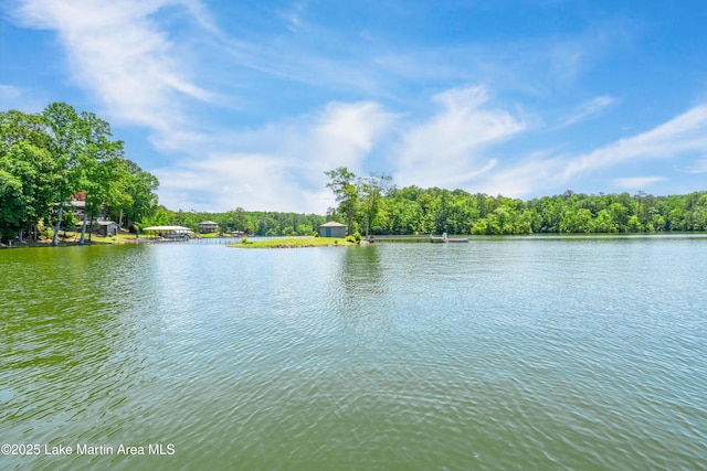127 Ridge Crest Dr, Jacksons Gap, AL 36861