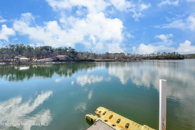 127 Ridge Crest Dr, Jacksons Gap, AL 36861 - dock featuring a water view