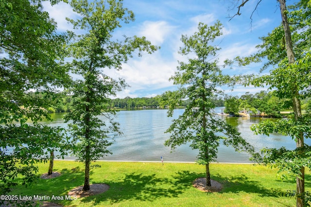 127 Ridge Crest Dr, Jacksons Gap, AL 36861