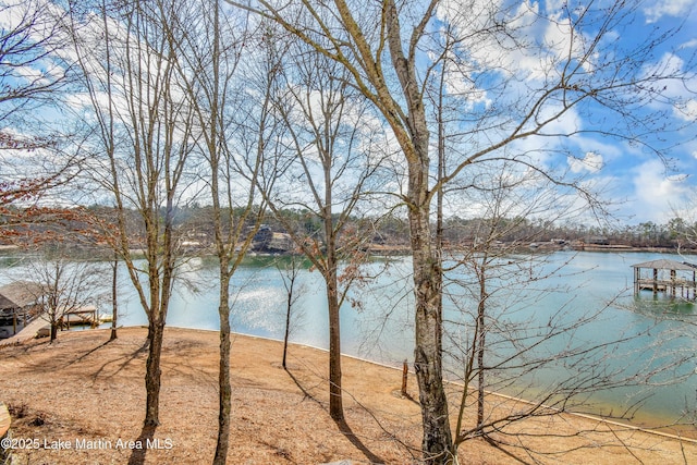127 Ridge Crest Dr, Jacksons Gap, AL 36861 - water view