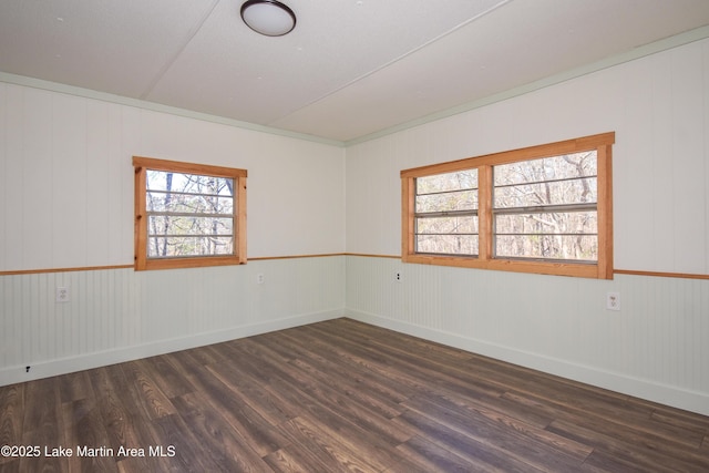 empty room featuring dark hardwood / wood-style floors