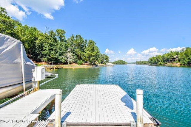 dock area featuring a water view