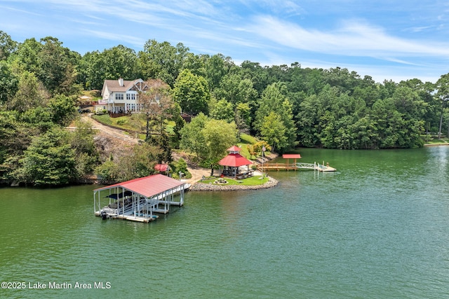 876 Ridge Rd, Dadeville, AL 36853 - water view with a floating dock and boat lift