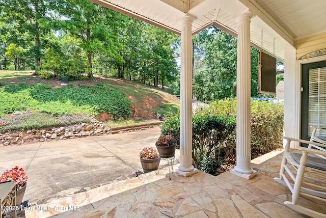 876 Ridge Rd, Dadeville, AL 36853 - view of patio / terrace