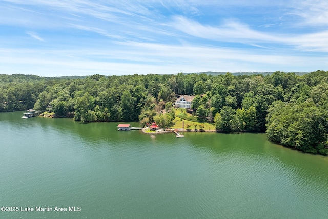 876 Ridge Rd, Dadeville, AL 36853 - aerial view of a forest and a large body of water