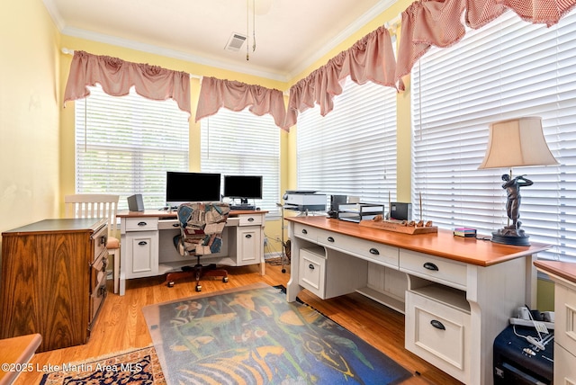 876 Ridge Rd, Dadeville, AL 36853 - office area featuring crown molding, healthy amount of natural light, and light wood finished floors