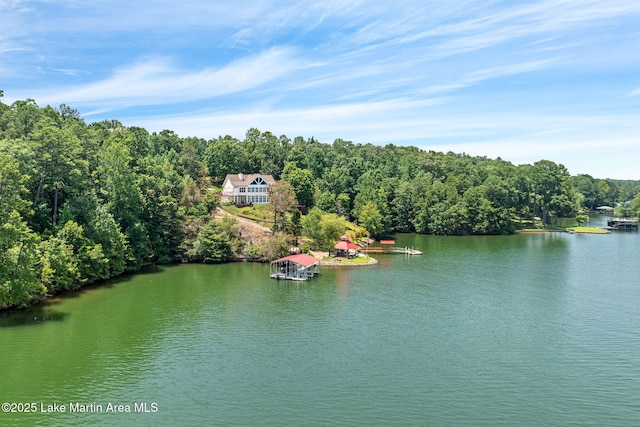 876 Ridge Rd, Dadeville, AL 36853 - view from above of property with a large body of water