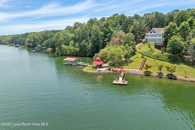 876 Ridge Rd, Dadeville, AL 36853 - view from above of property with a large body of water and a forest