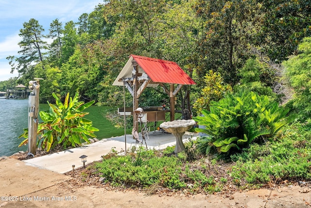 876 Ridge Rd, Dadeville, AL 36853 - view of property's community featuring a dock and a water view