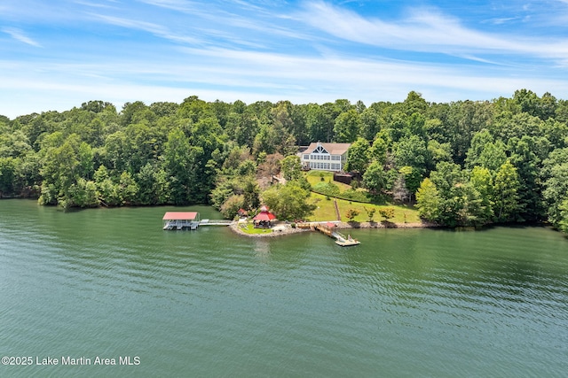 876 Ridge Rd, Dadeville, AL 36853 - water view with a forest and a floating dock
