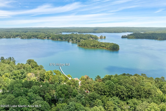 876 Ridge Rd, Dadeville, AL 36853 - drone / aerial view of a forest and a nearby body of water