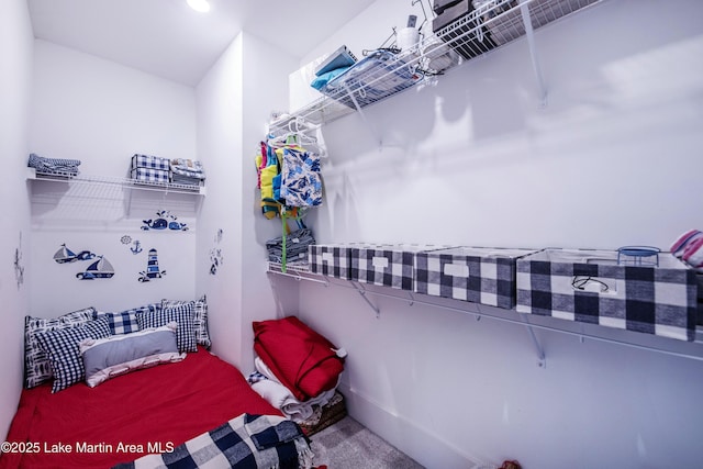 spacious closet with carpet flooring