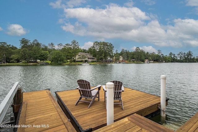 391 Old Jay Rd, Eclectic, AL 36024 - dock area with a water view