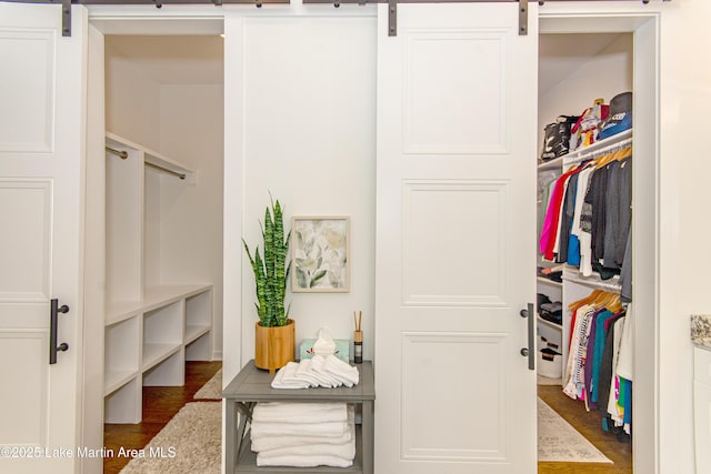 view of closet