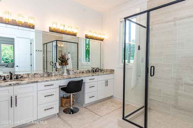 bathroom with walk in shower, a healthy amount of sunlight, ornamental molding, and vanity