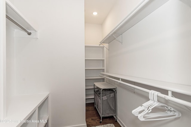 spacious closet featuring dark hardwood / wood-style floors