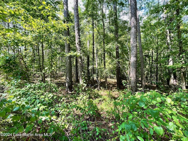 Listing photo 2 for LOT23 Cotton Ln, Alexander City AL 35010