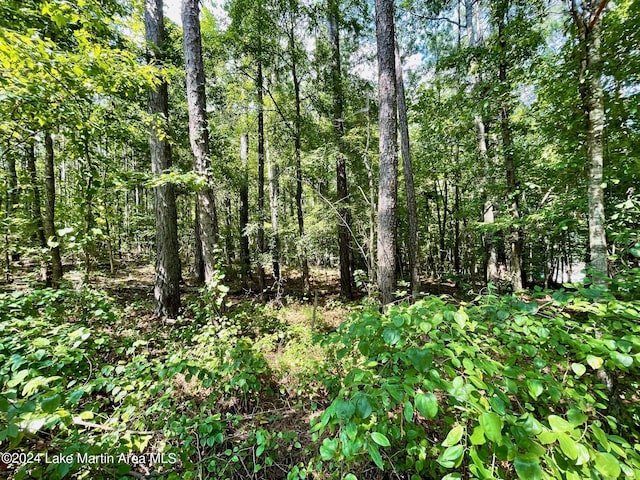 Listing photo 3 for LOT23 Cotton Ln, Alexander City AL 35010