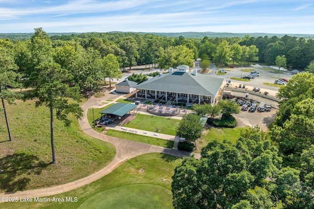 93 Restful Cv, Dadeville, AL 36853 - drone / aerial view of a forest