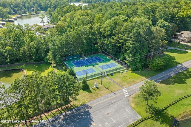 93 Restful Cv, Dadeville, AL 36853 - aerial view of a large body of water and a heavily wooded area