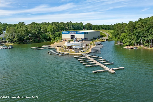 93 Restful Cv, Dadeville, AL 36853 - water view featuring a dock