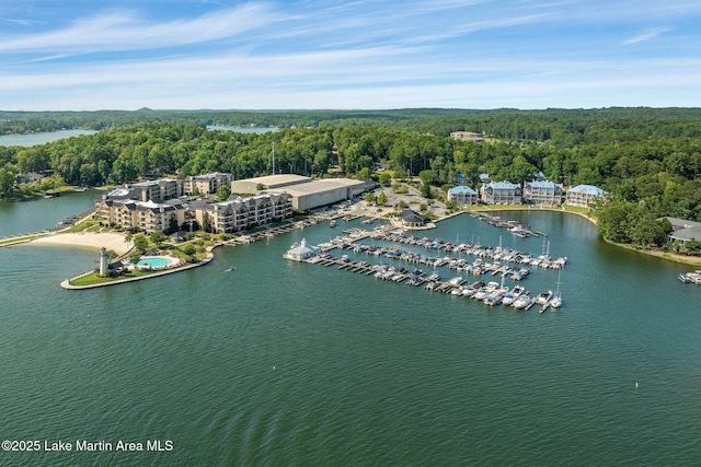93 Restful Cv, Dadeville, AL 36853 - bird's eye view of a heavily wooded area and a large body of water