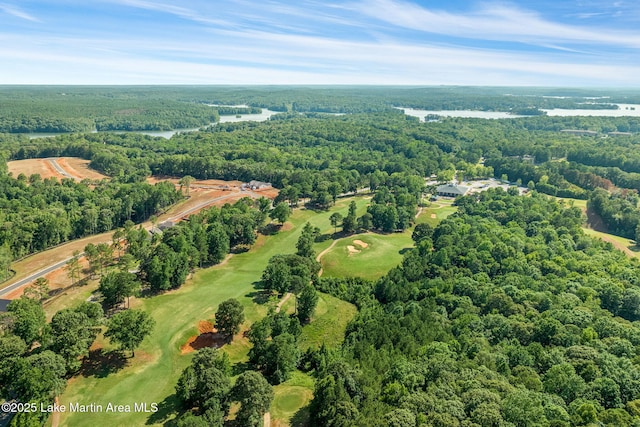 93 Restful Cv, Dadeville, AL 36853 - drone / aerial view of a forest and a large body of water