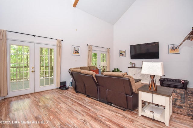 93 Restful Cv, Dadeville, AL 36853 - living room with french doors, high vaulted ceiling, and wood finished floors