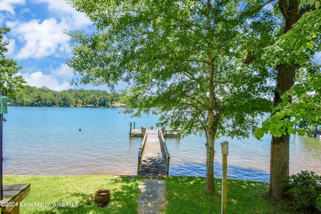 dock area with a water view