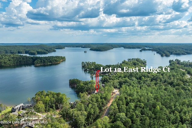 birds eye view of property with a wooded view and a water view