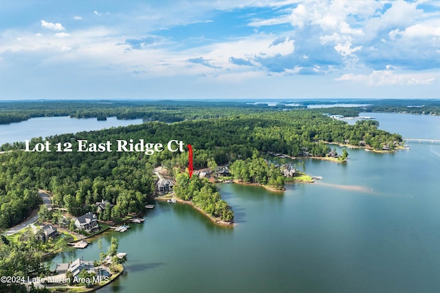 drone / aerial view featuring a view of trees and a water view