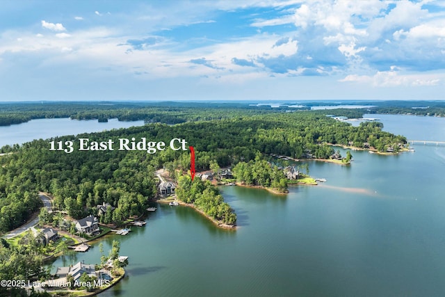 drone / aerial view featuring a forest view and a water view