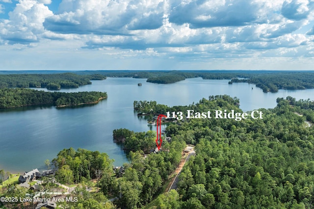 birds eye view of property with a forest view and a water view