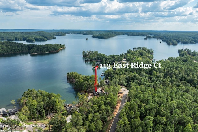 aerial view with a water view and a wooded view