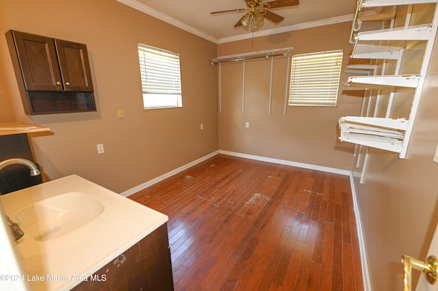 interior space featuring hardwood / wood-style flooring, ceiling fan, crown molding, and sink