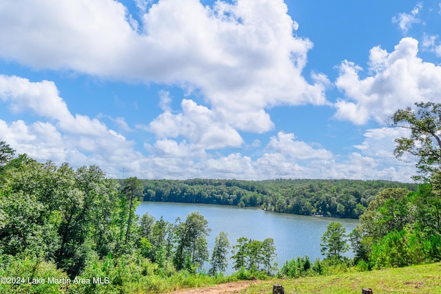 property view of water