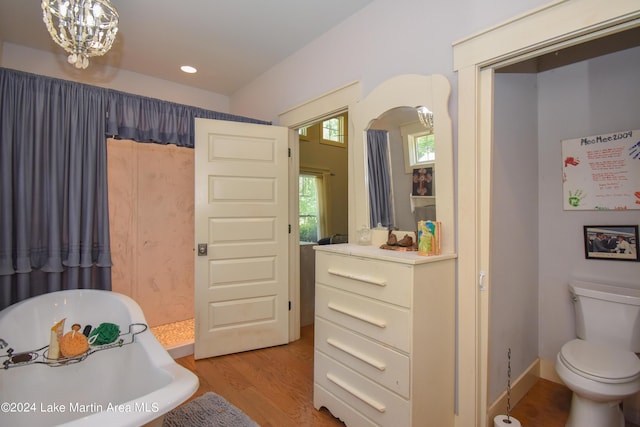 bathroom with a bathing tub, toilet, and wood-type flooring