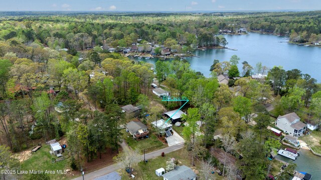 441 Cove Dr, Eclectic, AL 36024 - birds eye view of property with a water view and a view of trees